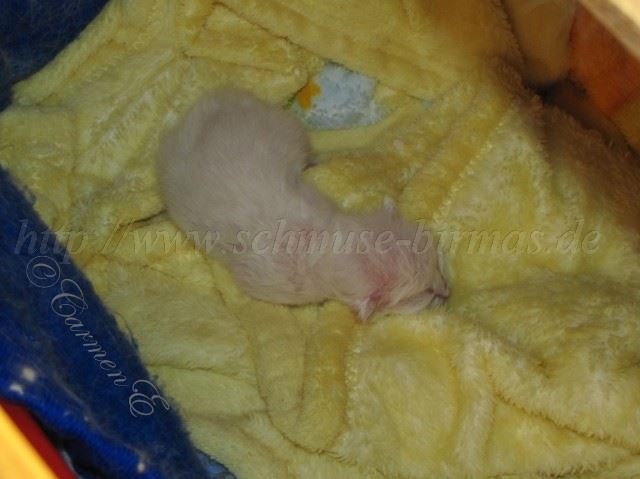 14.83.12_00 Groe Webansicht