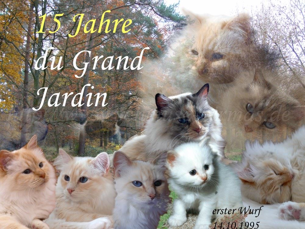 15Jahre 1000x74902