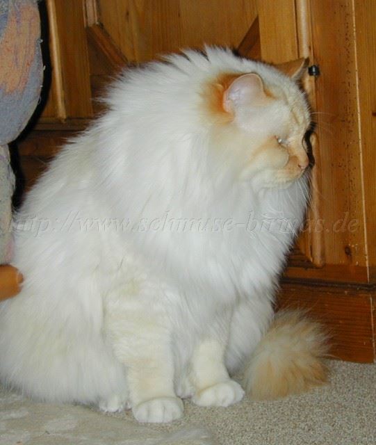2004_102