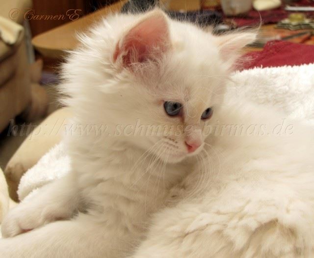 26.12.09 Grosse Webansicht_0