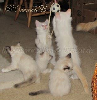 Action 10.09.2010_10