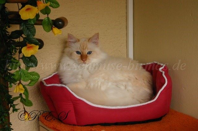 Balkon Gro�e Webansicht