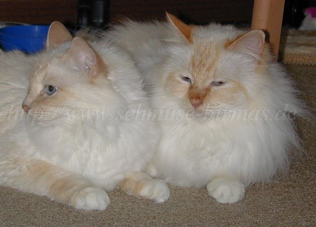 BallouEvian052002 Gro�e Webansicht