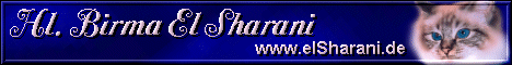 Banner_Nanette_2 Banner_Nanette_2