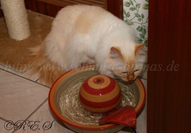 Brunnen Gro�e Webansicht