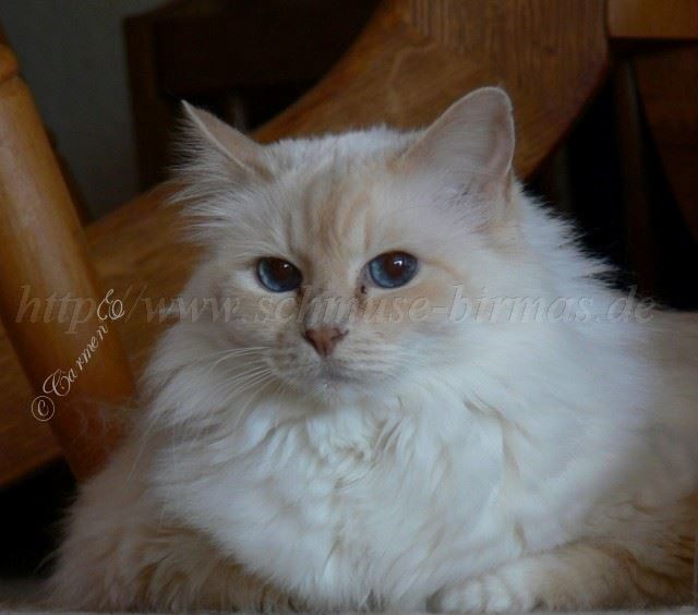 Evian092009