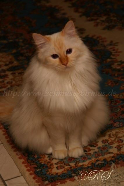 FlorisTizian12-2009www_3