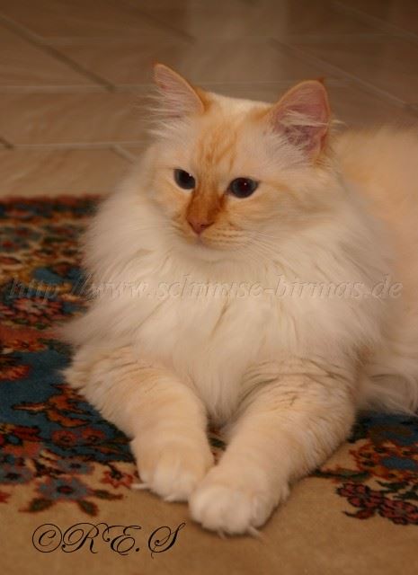 Floris Gro�e Webansicht03