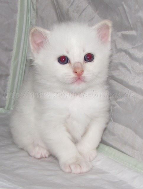 HBub-23.11.09_03 Gro�e Webansicht02