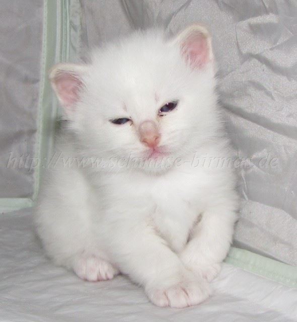 HBub-23.11.09_06 Gro�e Webansicht02