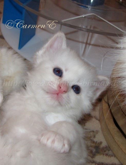 IMG_0505 Gro�e Webansicht02