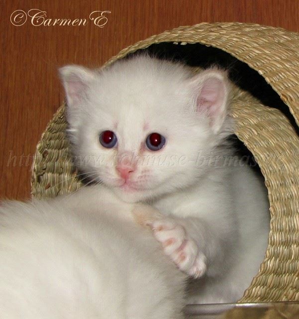 IMG_0539 Gro�e Webansicht02