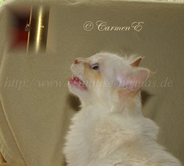 IMG_4966- Große Webansicht IMG_4966- Große Webansicht