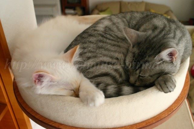 IMG_8239 Gro�e Webansicht