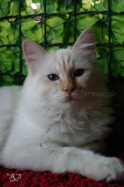 IMG_8414 Gro�e Webansicht