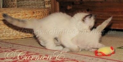 IMG_8539 Groe Webansicht 400x203