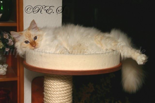 KB Gro�e Webansicht