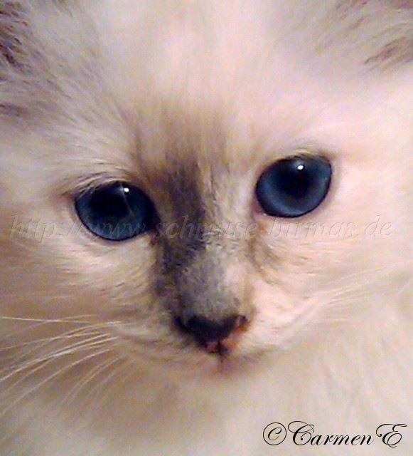 Kopie von Leana 2010-11-22 19.43.30 Groe Webansicht