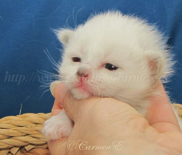 L-15Tage alt_14 Groe Webansicht03