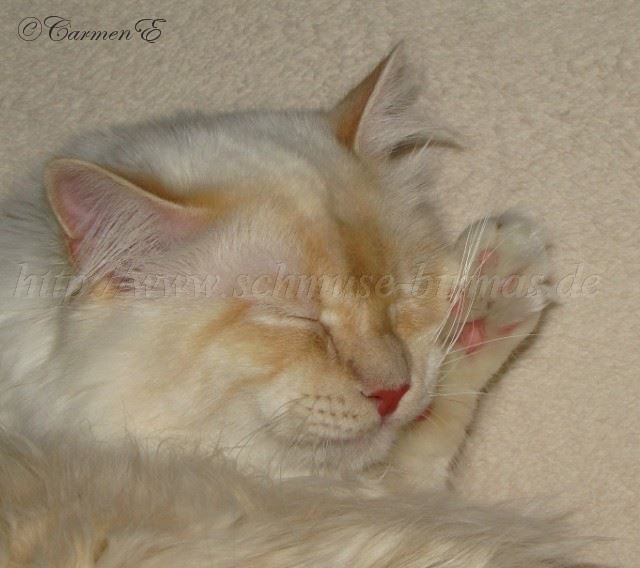 Lars-10.2011_0202