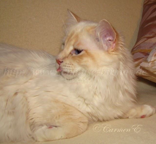 Lars-18.06.2011_0