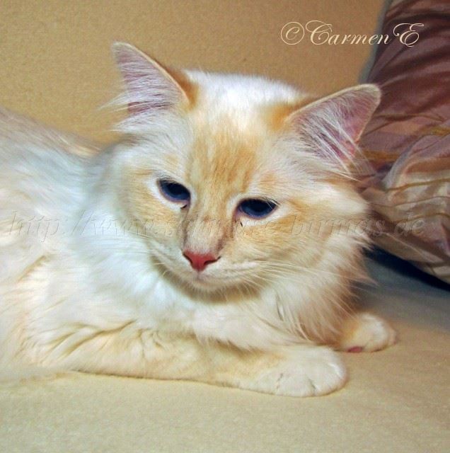 Lars-18.06.2011_2