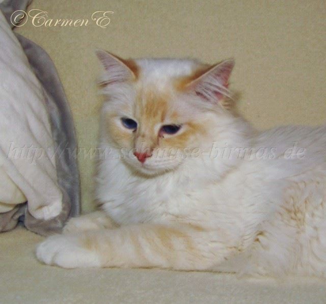 Lars-18.06.2011_3