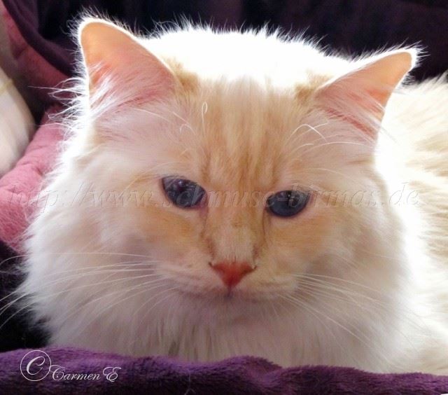 Lars 22.10.2011_1
