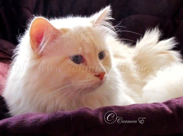 Lars 22.10.2011_2
