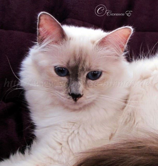 Lea 22.10.2011_0204