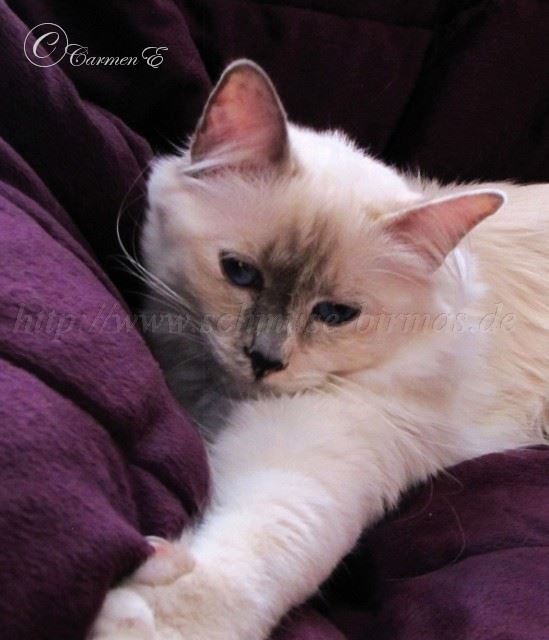 Lea 22.10.2011_0402