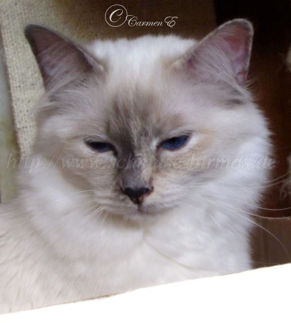 Lea 22.10.2011_0702