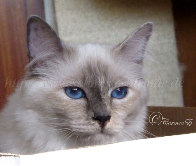 Lea 22.10.2011_0902