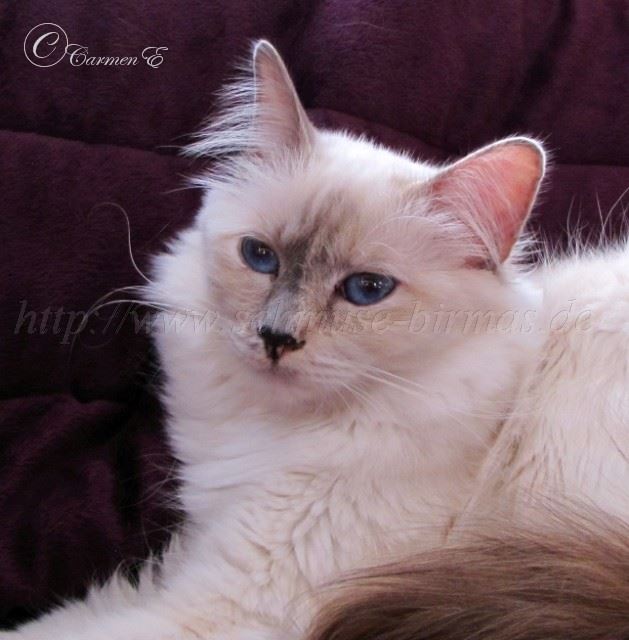 Lea 22.10.2011_1002