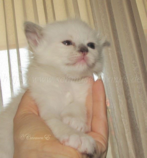 Leara4Wochen_0 Groe Webansicht