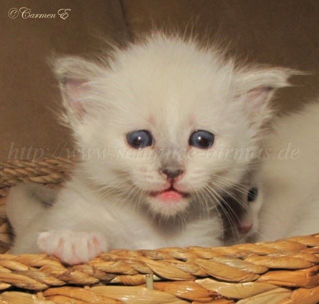 Leara4Wochen_2 Groe Webansicht