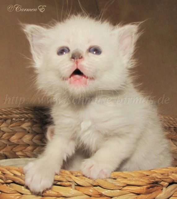 Leara4Wochen_4 Groe Webansicht