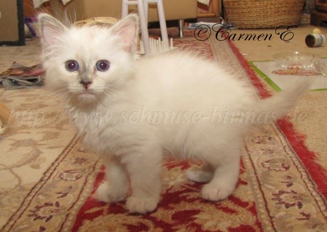 Leara7Wochen_0 Groe Webansicht