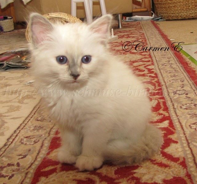 Leara7Wochen_2 Groe Webansicht