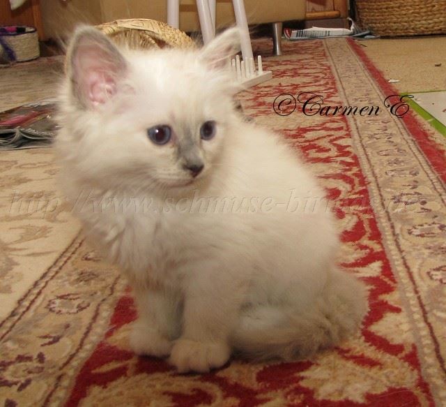 Leara7Wochen_3 Groe Webansicht