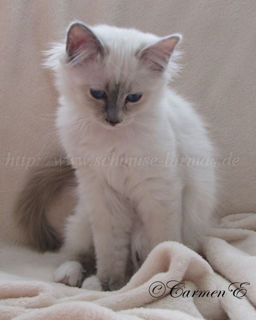 Leara_2 Groe Webansicht