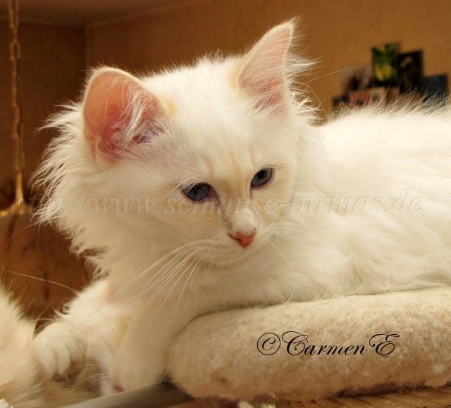 Linus 3,5 Monate_2 Gro�e Webansicht