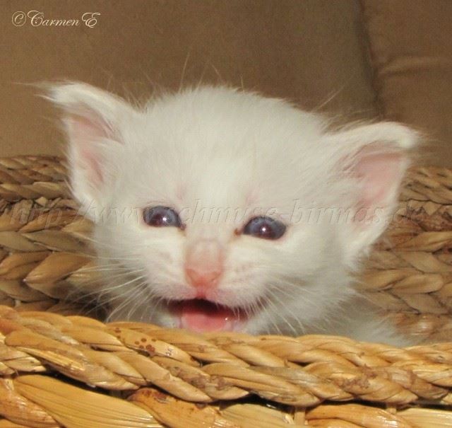 Linus 4Wochen_2 Gro�e Webansicht