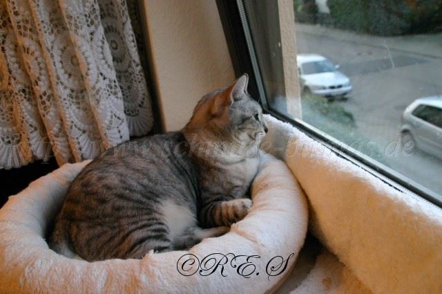 Mia2 Gro�e Webansicht