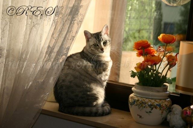 Mia Gro�e Webansicht