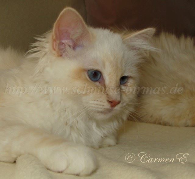 Minou-06.2011_10