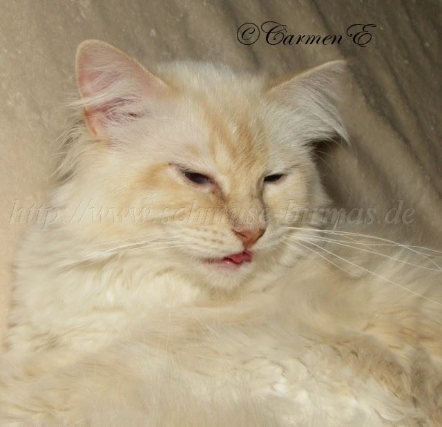 Minou-Juni2012_4