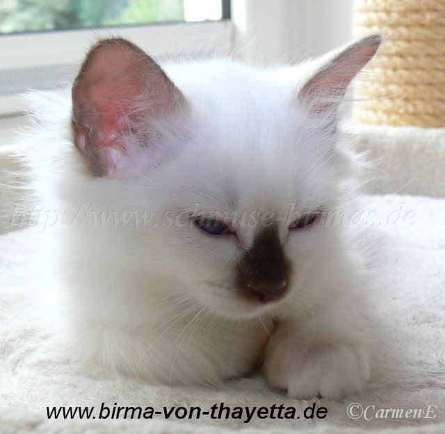 P1220083 Gro�e Webansicht