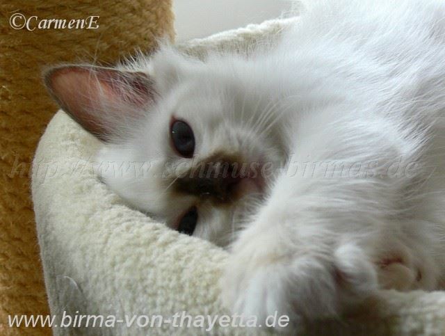 P1220089 Gro�e Webansicht