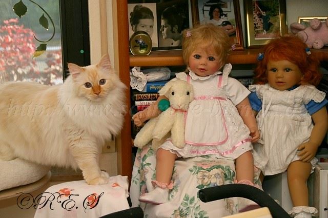 Puppen Gro�e Webansicht